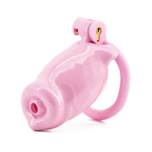 Load image into Gallery viewer, Sissy Puppy Chastity Cage