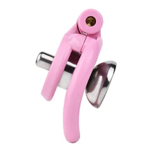 Load image into Gallery viewer, Inverted Plugged Flat Cock Cage