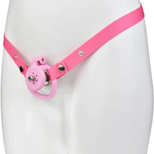 Load image into Gallery viewer, Inverted Plugged Flat Cock Cage