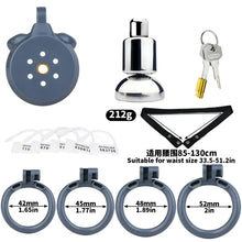 Load image into Gallery viewer, Inverted Plugged Flat Cock Cage