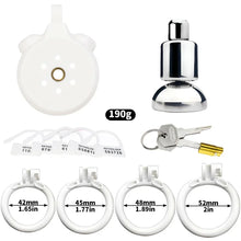 Load image into Gallery viewer, Inverted Plugged Flat Cock Cage