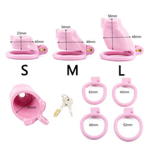 Load image into Gallery viewer, Dog penis Male Chastity Cage