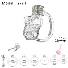 Load image into Gallery viewer, ABS Male Chastity Device