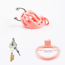 Lade das Bild in den Galerie-Viewer, Traktions-Peniskäfig mit PA