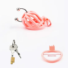 Lade das Bild in den Galerie-Viewer, Traktions-Peniskäfig mit PA