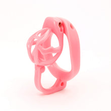 Charger l'image dans la galerie, Personalized Egg Separation Chastity Device