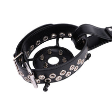 Charger l'image dans la galerie, Black breast band buckle and removable riveted cover close-up