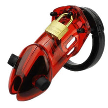 Load image into Gallery viewer, Raelynn Electra Plastic Cage 2.76 inches and 3.54 inches long