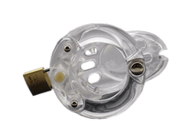 Lade das Bild in den Galerie-Viewer, Amelia Kunststoffkäfig 3,74 Zoll lang