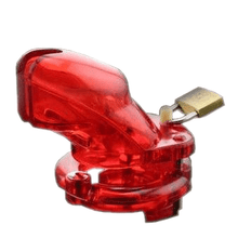 Lade das Bild in den Galerie-Viewer, Amelia Kunststoffkäfig 3,74 Zoll lang