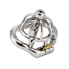 Load image into Gallery viewer, Aaliyah Chastity Device 1.73 inches long
