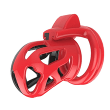 Lade das Bild in den Galerie-Viewer, Sadie Cock Cage aus Kunststoff, 2,28 Zoll lang