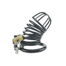 Charger l'image dans la galerie, Dispositif de chasteté en métal Lillian de 3,4 pouces de long
