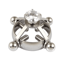 Charger l'image dans la galerie, Vis à tétons fantaisie BDSM