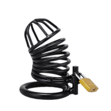 Charger l'image dans la galerie, Dispositif de chasteté en métal Lillian de 3,4 pouces de long
