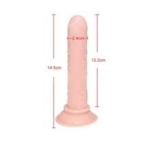 Load image into Gallery viewer, Thin 5 Inch Dildo With Strap On Kit BDSM
