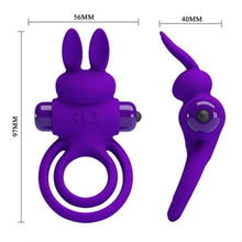 Load image into Gallery viewer, Dual Cock Ring | Lock 10-Speed Rabbit Cock Ring BDSM