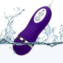 Charger l'image dans la galerie, Pinces à tétons vibrantes BDSM Foreplay Ally