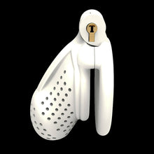 Charger l'image dans la galerie, Cage de chasteté 3D en nid d'abeille en forme de bourdon