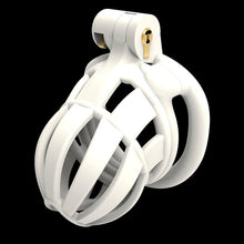 Load image into Gallery viewer, 3D Stegosaurus Wide Head Chastity Device Kit