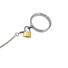 Load image into Gallery viewer, Metallic Cock and Ball Leash BDSM