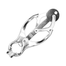 Load image into Gallery viewer, BDSM Torture Cage Nipple Stretchers