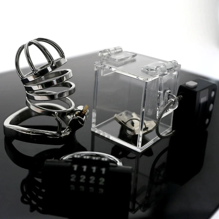 sex toy lockbox Adult Toy Storage Boxes : adult toy main image 1