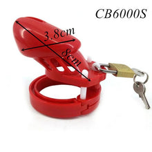 Lade das Bild in den Galerie-Viewer, Mia Kunststoffkäfig 3,15 Zoll und 3,94 Zoll lang (alle 5 Ringe enthalten)