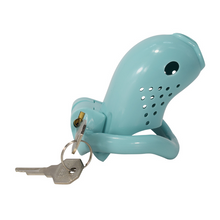 Load image into Gallery viewer, Blue Resin Cock Cage