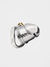 Load image into Gallery viewer, Steel Penis | Realistic Chastity Cage