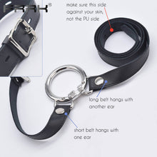 Load image into Gallery viewer, Bondage Cock Cage with Male Chastity Belt