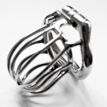 Lade das Bild in den Galerie-Viewer, Lucy Cock Cage 2,05 Zoll lang