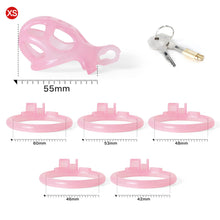 Load image into Gallery viewer, Ice Vision Desigh Pink Cobra Chastity Cage
