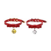 Charger l'image dans la galerie, Collier de jeu pour chaton préféré du maître