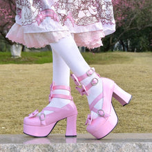 Load image into Gallery viewer, Camila Sweet Sissy Shoes