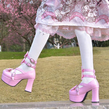 Load image into Gallery viewer, Camila Sweet Sissy Shoes