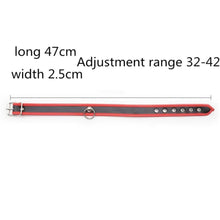 Lade das Bild in den Galerie-Viewer, O-Ring-Bondage-Lederhalsbänder für Menschen