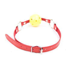 Load image into Gallery viewer, Non-Stop Drool Trainer Gag BDSM