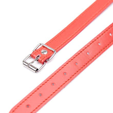 Load image into Gallery viewer, Non-Stop Drool Trainer Gag BDSM