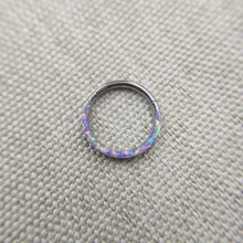 Load image into Gallery viewer, Implant Grade 16G Labia Rings BDSM