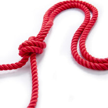 Load image into Gallery viewer, Sadist's Favorite Silk Bondage Rope Restraint BDSM