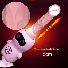 Load image into Gallery viewer, Pink Seduction Sexy BDSM