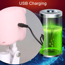 Load image into Gallery viewer, Pink Seduction Sexy BDSM