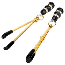 Load image into Gallery viewer, BDSM Elegant Nipple Toy