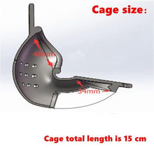 Lade das Bild in den Galerie-Viewer, Keuschheitsgürtel aus Edelstahl mit Hodensackrille