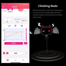 Load image into Gallery viewer, Little Devil Collar App Controlled Adjustable
