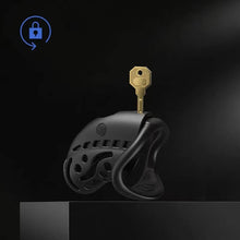 Load image into Gallery viewer, Wireless Remote Control Electric Shock Chastity Cage