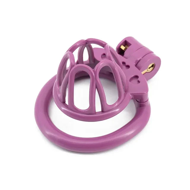 Cute Sissy Chastity Cage With 4 Rings, gallery view 8