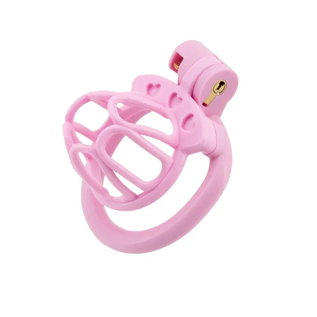 Cute Sissy Chastity Cage With 4 Rings, gallery view 7