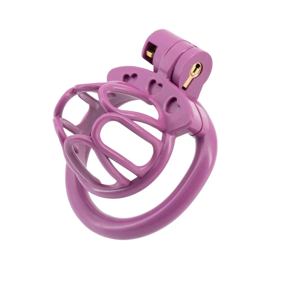 Cute Sissy Chastity Cage With 4 Rings, gallery view 5